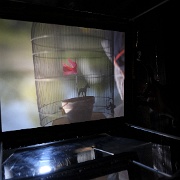 ZUR cabanobscura-31757